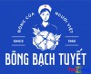 Bong Bach Tuyet hanh trinh hoi sinh
